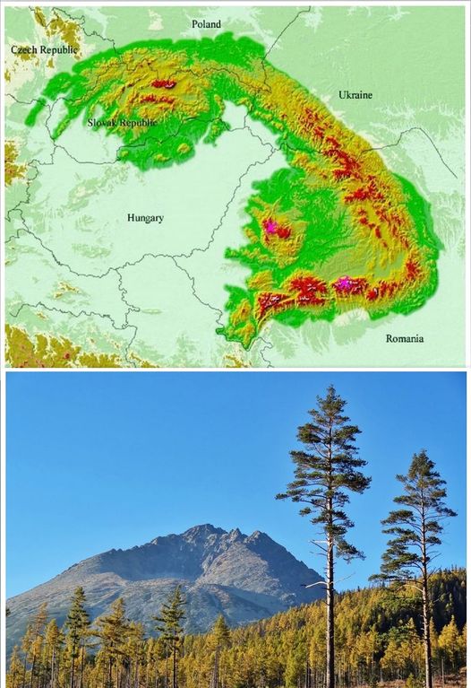 Карпати