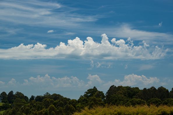 Висококупчасті баштоподібні хмари (Altocumulus castellatus)