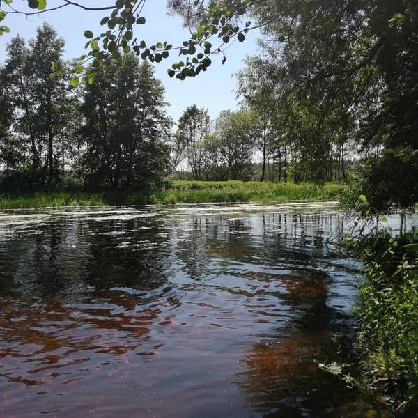 Річка Удай