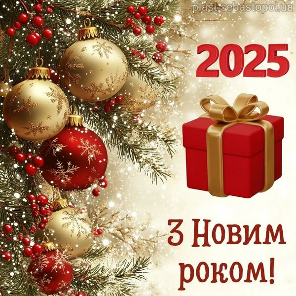 З Новим 2025 роком !