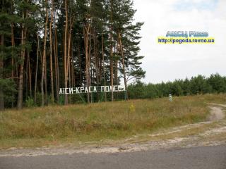 Міжнародний день лісів