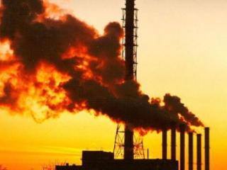 ТОП-7 проблем від яких страждає природа України