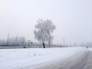 Зима зимонька зима