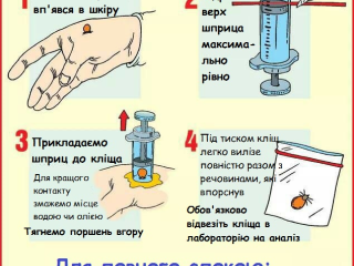 Обережно - кліщ !