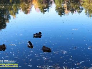 Прогноз погоди на 26-28 жовтня 2021 року