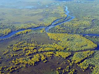 Найбільше болото у світі