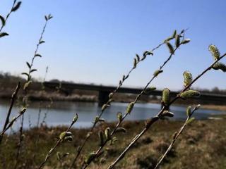 Прогноз погоди по Рівненській області на 19-22 березня 2024 року