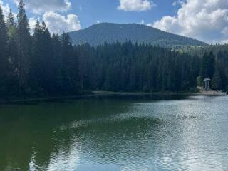 Краса та гордість Карпат - озеро Синевир