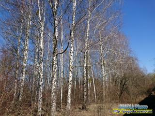 Прогноз погоди на 13-14 квітня 2021 року по місту Рівне та Рівненській області
