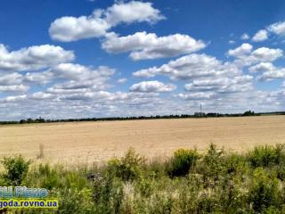 Прогноз погоди на 29 липня-1 серпня 2022 року по Рівненській області