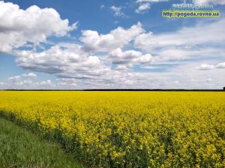 Прогноз погоди по Рівненській області на 26-29 травня 2023 року