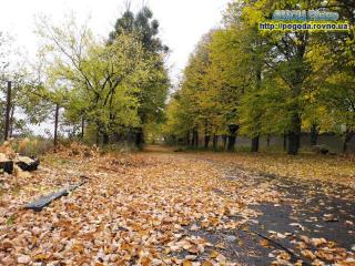 Прогноз погоди на 19-21 жовтня 2021 року по Рівне та області