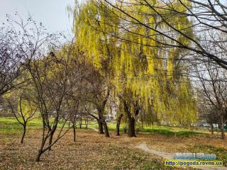 Прогноз погоди на 26-29 листопада 2021 року по місту Рівне та області
