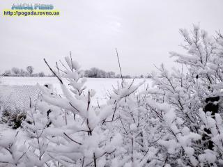 Прогноз погоди на 7-9 грудня 2021 року по місту Рівне та області