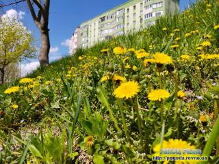 Прогноз погоди на 29 квітня-2 травня 2022 року по Рівненській області