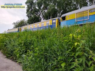 Прогноз погоди на 3-6 червня 2022 року по Рівненській області