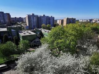 Прогноз погоди по Рівненській області на 2-4 травня 2023 року