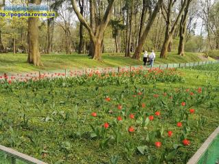 Прогноз погоди на 9-12 квітня 2024 року по Рівненській області