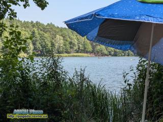 Прогноз погоди по Рівненській області на 17-20 вересня 2024 року
