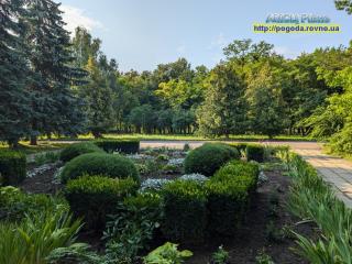 Прогноз погоди по Рівненській області на 20-22 липня 2024 року