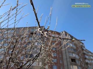 Прогноз погоди по Рівненській області на 15-17 березня 2025 року