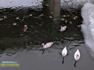Прогноз погоди по Рівненській області на 24 -27лютого 2026 року