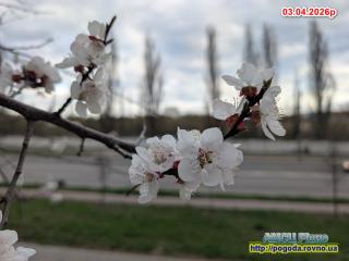 Прогноз погоди по Рівненській області на 04-06 квітня 2026 року