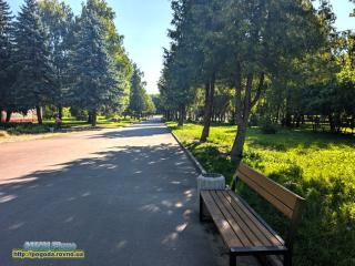 Прогноз погоди по Рівненській області на 01-03 серпня 2026 року