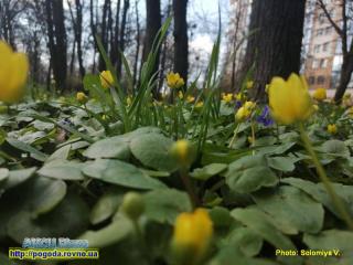 Прогноз погоди на 21 - 24 квітня 2023 року по Рівненській області