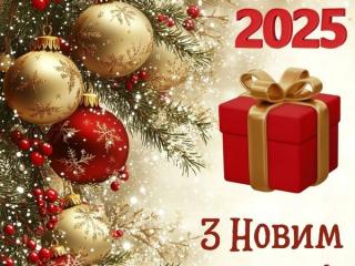 З Новим 2025 роком !