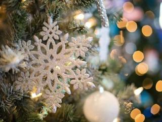 Прогноз погоди по Рівненській області на 30-31 грудня та  01-02 січня 2026 року