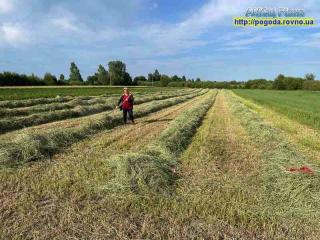Прогноз погоди по Рівненській області на 1-4 липня 2025 року