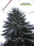 Прогноз погоди на 10 - 12 грудня