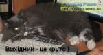 Травневі свята 2013 року