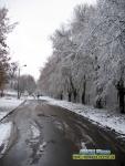 Прогноз погоди на 29 - 30 листопада та 1 - 2 грудня