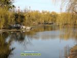 Народні прикмети про погоду в квітні
