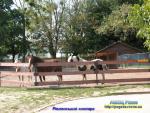 Прогноз погоди по місту Рівне та Рівненській області на 5 - 8 вересня 2014 року