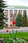 Прогноз погоди по місту Рівне та Рівненській області на 23 - 26 травня