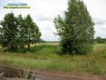Прогноз погоди по місту Рівне та Рівненській області на 26 - 29 серпня 2014 року та результати гостювання дощового циклону