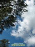 Rivne Ukraine