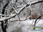 Тестова версія весни закінчилася )