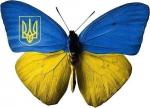 Прогноз погоди на 24 - 27 серпня 2015 року