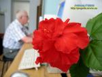 Літо 2016 - чого варто очікувати від погоди 