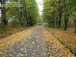 Прогноз погоди на 14 - 17 жовтня 2016 року