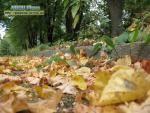 Прогноз погоди на 27 - 30 вересня 2016 року