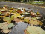 Прогноз погоди на 8 - 11 вересня 2017 року 