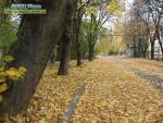 Прогноз погоди на 10 - 13 жовтня 2017 року