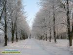 Прогноз погоди на 13 - 16 січня 2017 року