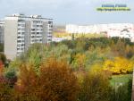 Прогноз погоди на 12 - 16 жовтня 2017 року 