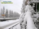 Як себе поводити на вулиці зимою, щоб вберегтись від неприємностей